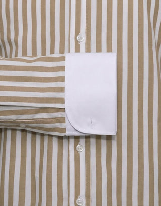 Brown & White Stripe Penny Pin Collar Shirt