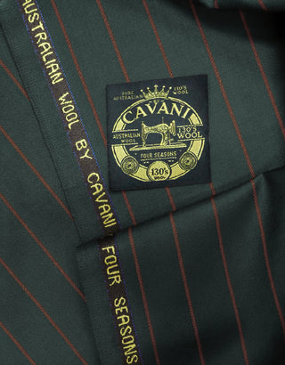 Olive Green and Burnt Orange Stripe Fabric